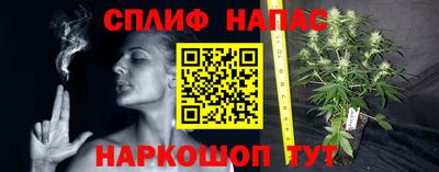 эйфоретик Обнинск