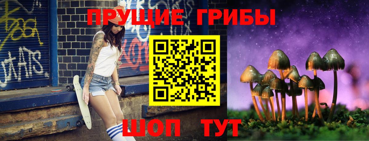 Тосно  Псилоцибиновые грибы мицелий  Вход с VPN  Псилоцибиновые грибы мицелий 