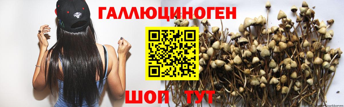 Галлюциногенные грибы мицелий Тосно